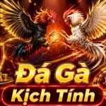Đá Gà Trực Tuyến 12BET: Đọc Chi Tiết Giao Diện Và Quản Lý Phiên Chơi Qua Đánh Giá Trải Nghiệm Di Động, Tốc Độ Và Khả Năng Đọc Thông Tin – Góc Kiểm Chứng Theo Tên Miền 12betvn.website