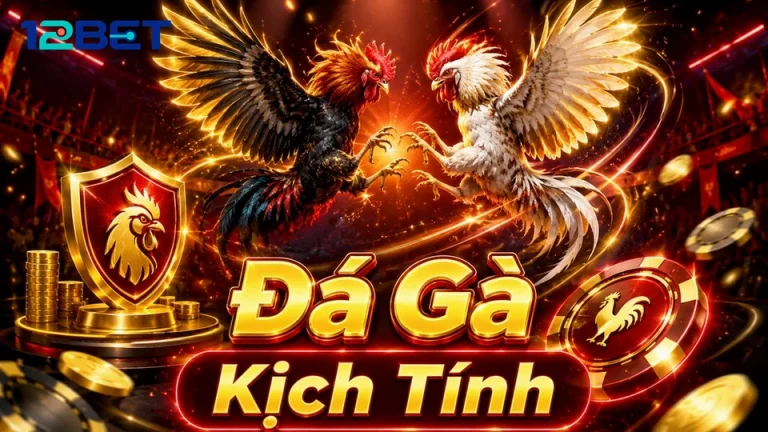 Đá Gà Trực Tuyến 12BET: Đọc Chi Tiết Giao Diện Và Quản Lý Phiên Chơi Qua Đánh Giá Trải Nghiệm Di Động, Tốc Độ Và Khả Năng Đọc Thông Tin – Góc Kiểm Chứng Theo Tên Miền 12betvn.website